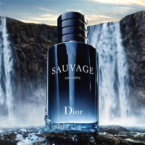 Dior Sauvage Eau De Parfum